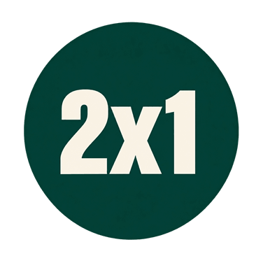 2x1